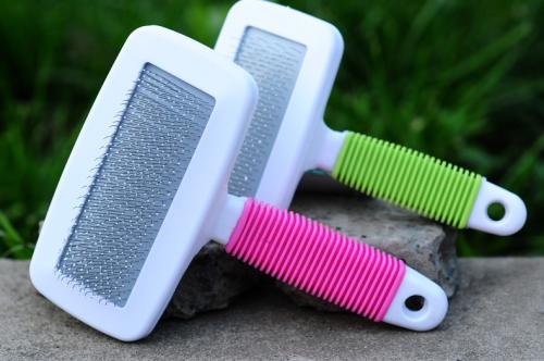 养宠知识:猫吃生蛋黄还是蛋清能吐毛