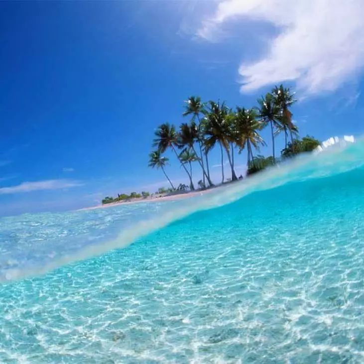 暑期带孩子去哪儿好?来泰国享受亲子游 这是我