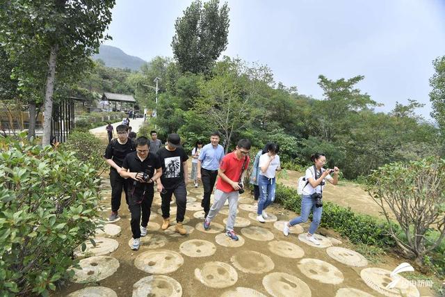 深山岭变网红村泰安八楼村乡村振兴的生动实践
