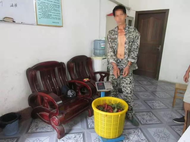 事发兴业,两男子翻墙偷荔枝被当场抓住,他们的理由让人哭笑不得 老葡京赌城