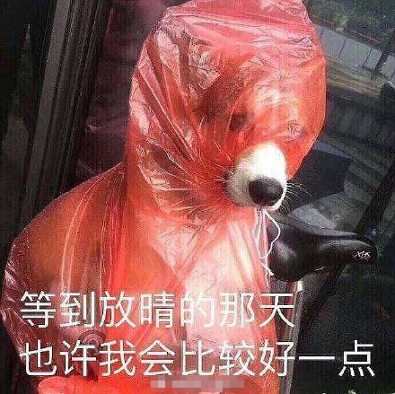 吐槽天天下雨的表情包|让苍天知道我不认输