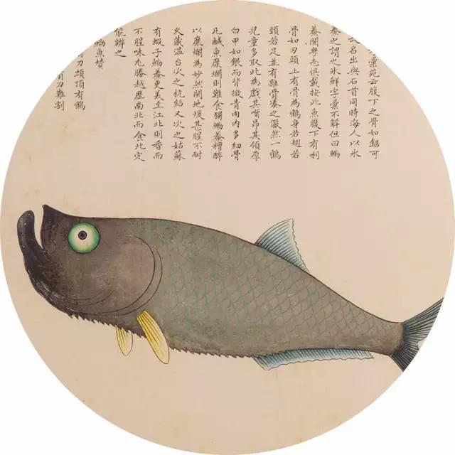 海和尚也是一种传说中的生物,有人直接把它等同于人头鱼身的人鱼.