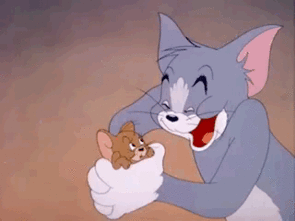 295_221gif 动态图 动图