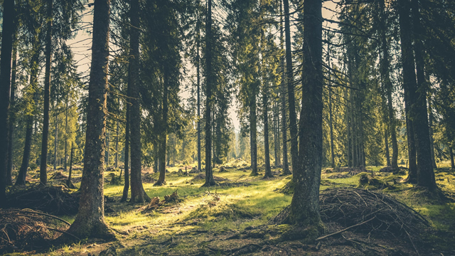 男生爱不爱你?恋爱求生欲说明问题,这4个生肖