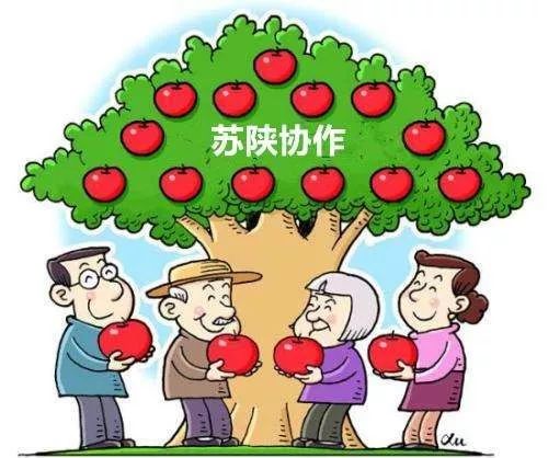 快来!旬阳苏陕协作定向职业培训即将开班,你学习,政府买单! 星际娱乐场注册