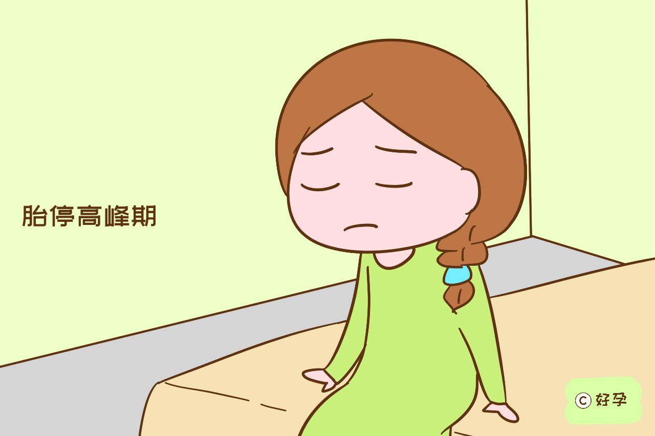 什么时候宝宝有胎心 912a6d03c2f84fd6bac73cb22157d946.jpeg