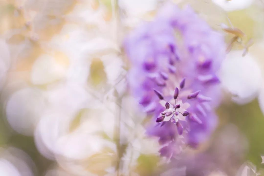94851035527c418d9f22c2ed2a5b1762.jpeg