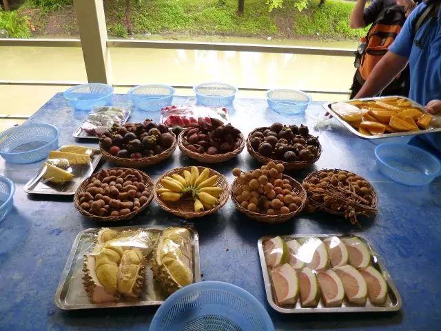 暑期带孩子去哪儿好?来泰国享受亲子游 这是我