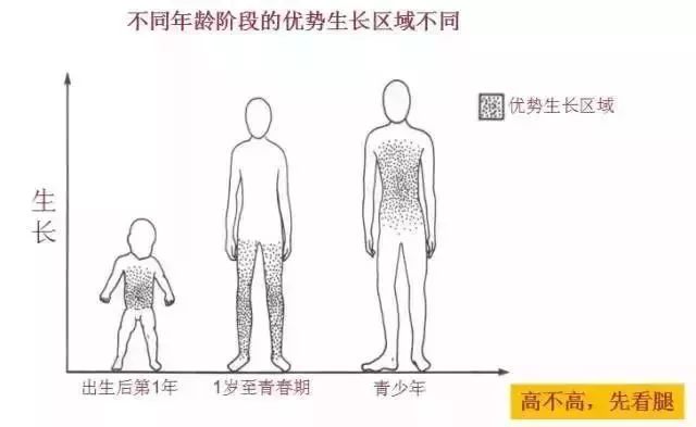                     杭州虎妈痛哭：13岁学霸儿子长不高了，最多1米58！医生：家长都有这个通病