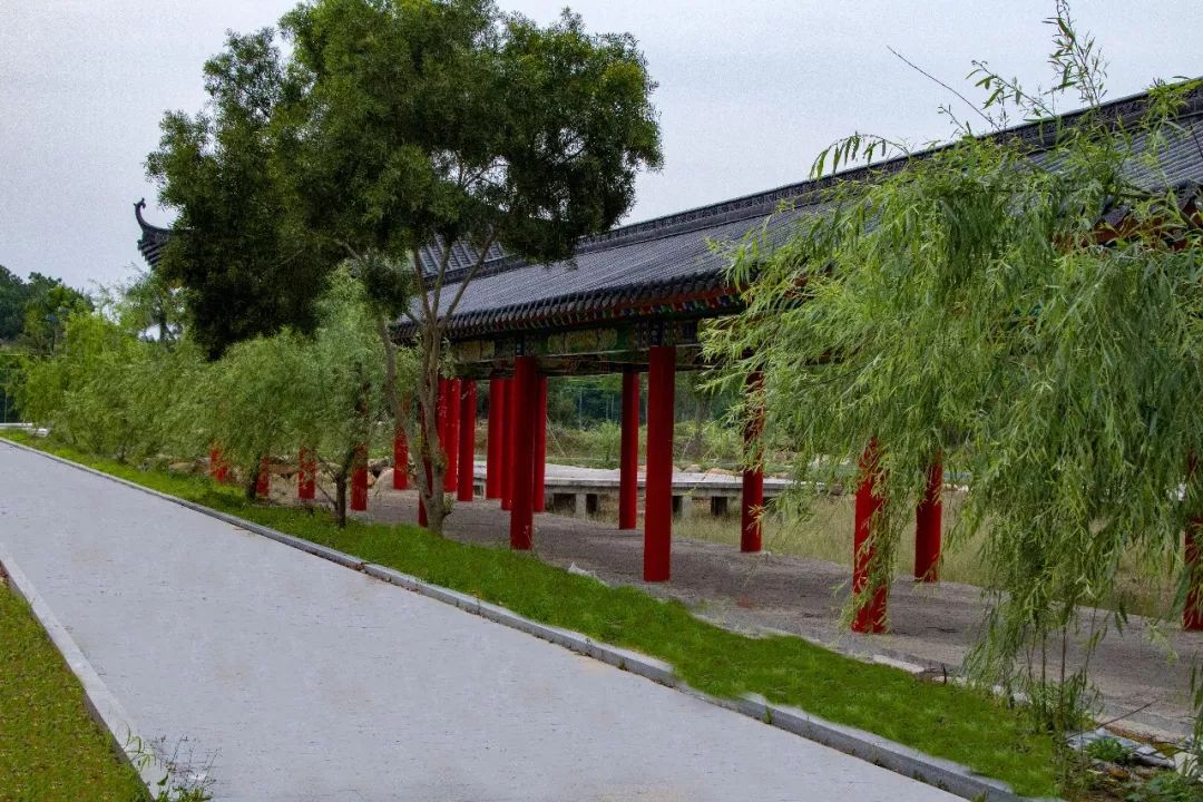 隆么人口_人口普查(2)