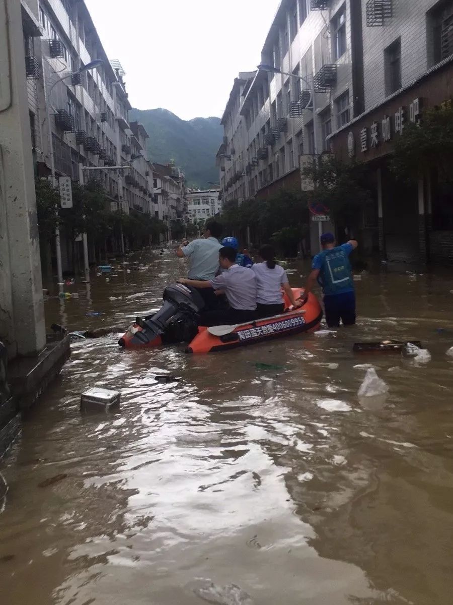 青田多地变成了海洋还有大母猪直接被冲走