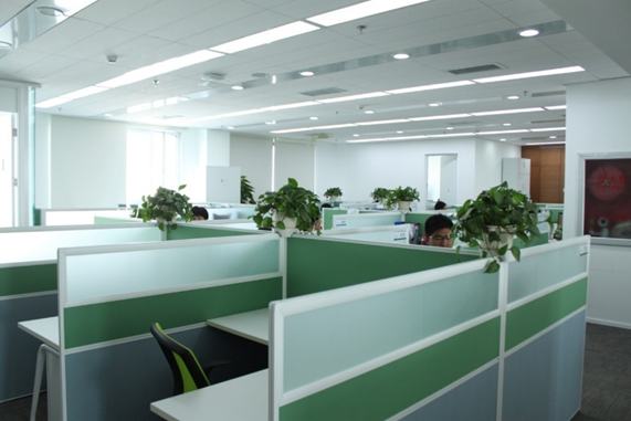 了解碧生源牌减肥茶,上碧生源官网