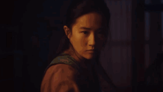 《花木兰》的动画设定就是整个历史背景都是架空的,否则木须龙这种