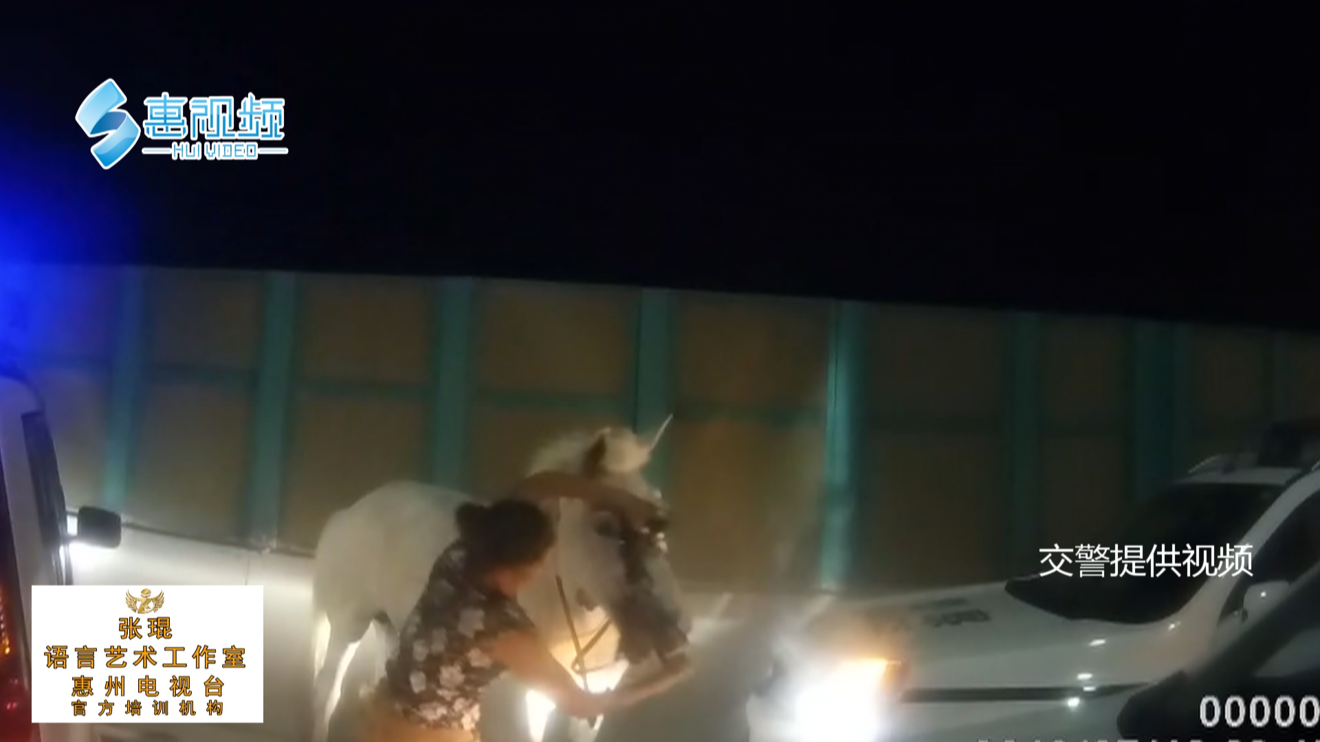 惊险的浪漫!两匹马深夜上演公路
