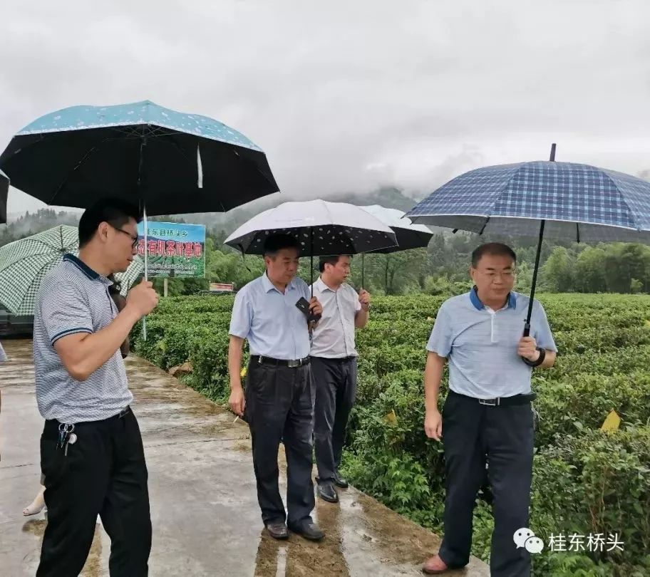 7月10日,省农业农村厅副巡视员罗振新,市农业农村局副局长刘洪亮一行