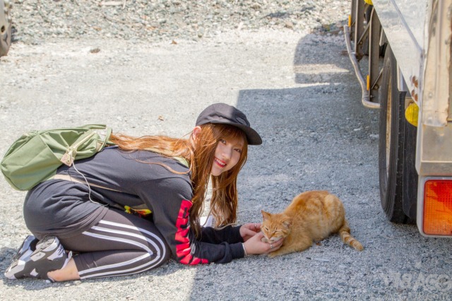 BS11将开播由富田美忧和山田麻里奈两位声优