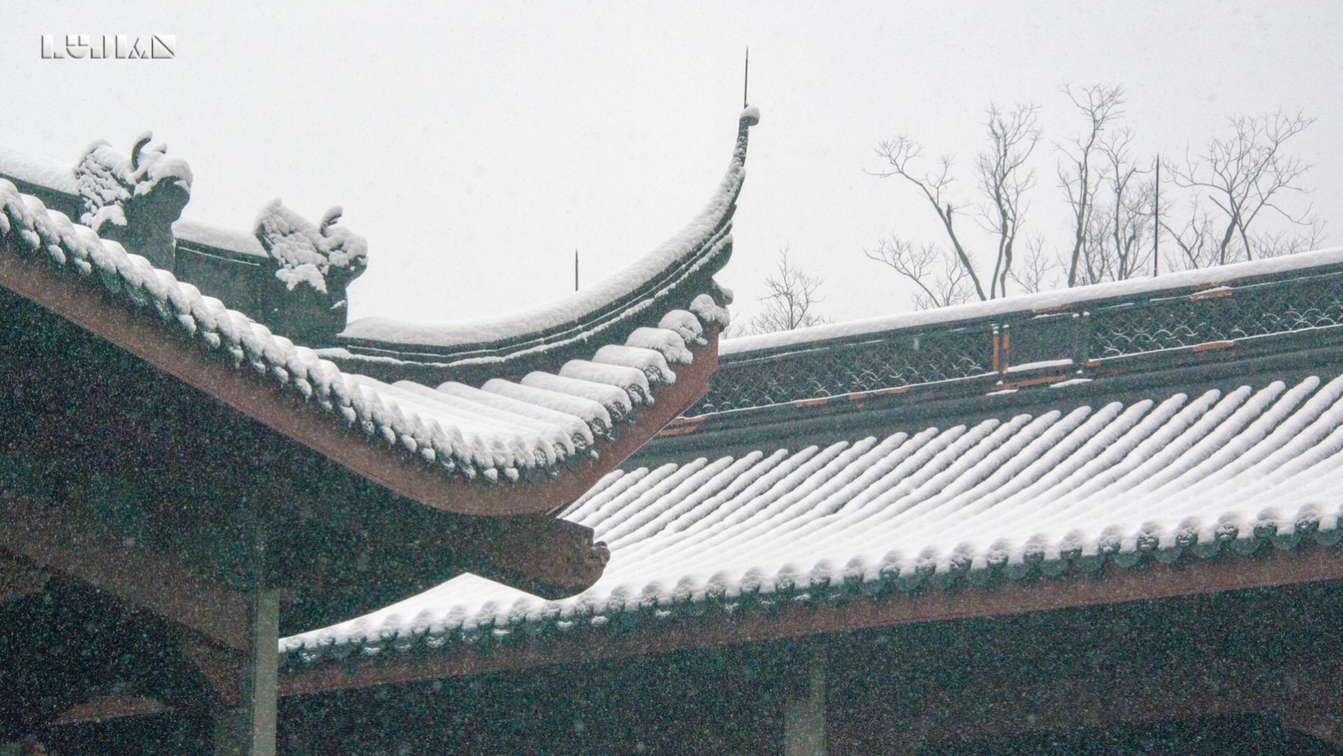 一组灵隐寺的雪景,是不是能让酷暑来得晚一些呢?