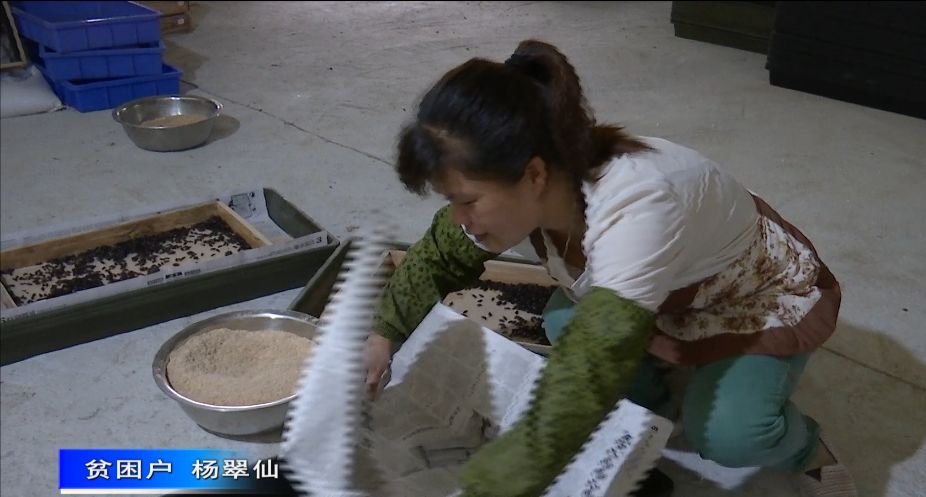 家里种菜与GDP_家里种菜卡通图解(3)