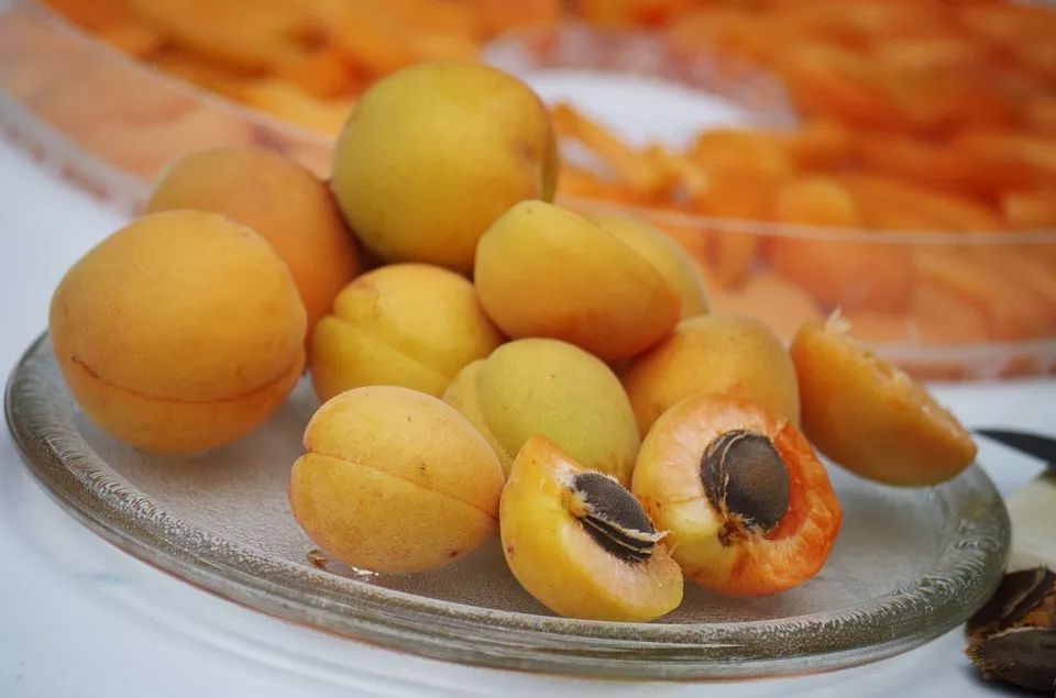 bfe2ab00d476448587261418e4965e15.jpeg