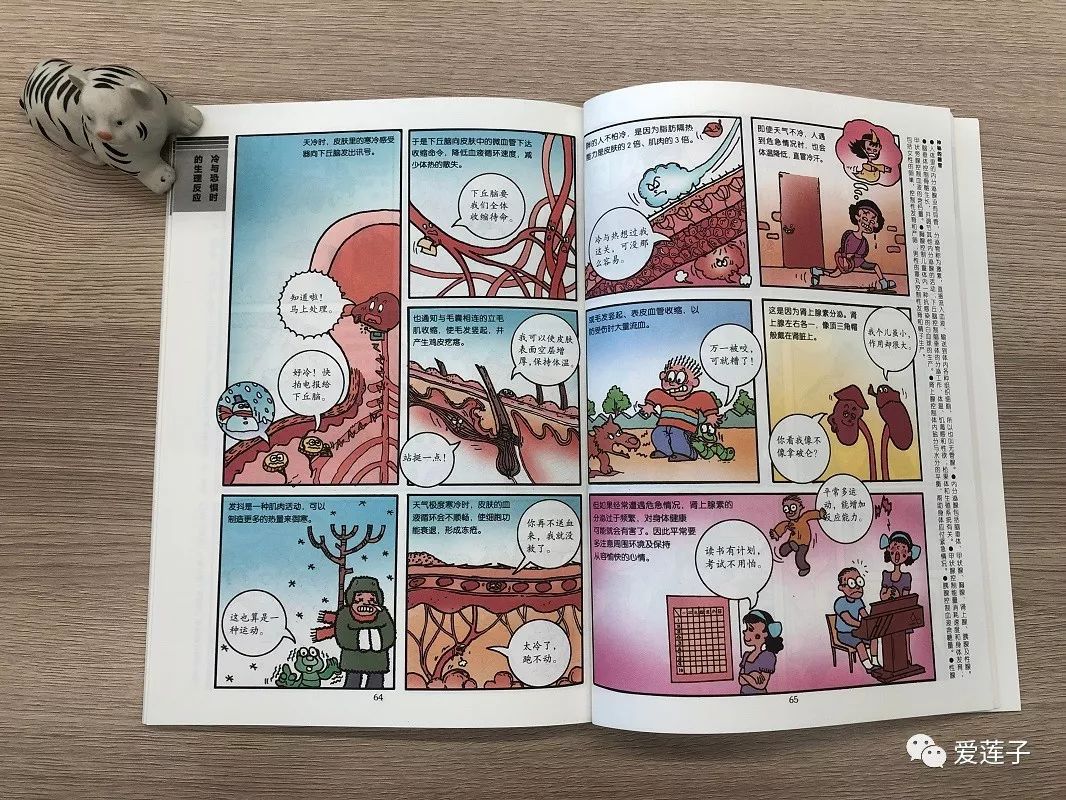 团 小牛顿手绘漫画成语故事 将成语与科学结合 有趣又有料 给孩子的加油站 语文