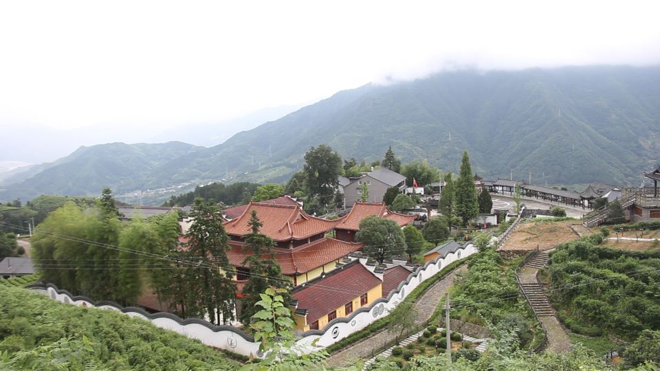 云雾缭绕雨量充足这里风景秀丽在海拔600多米的景宁惠明寺村茶山上