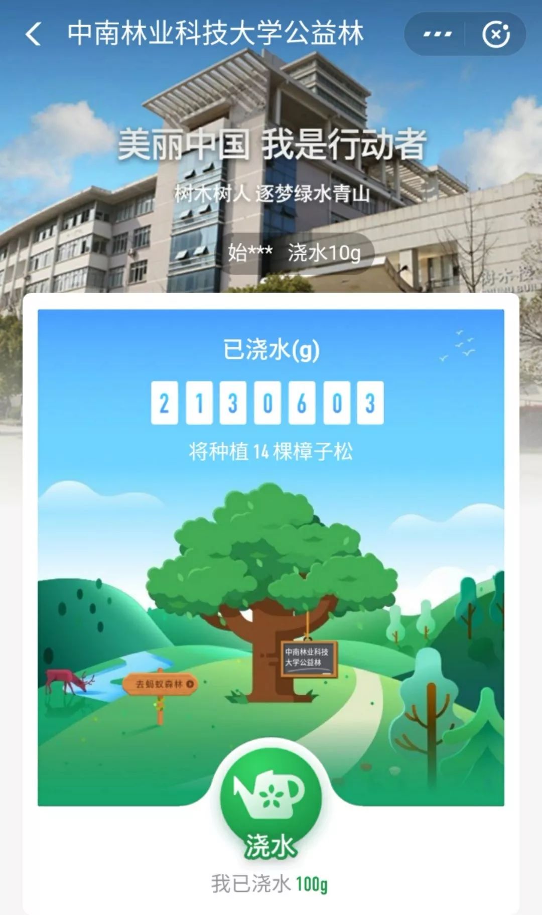 终于等到你!林科大专属蚂蚁森林公益林