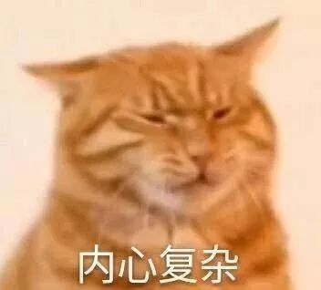d48ebc5e823f4bfab3aed09724098936.jpeg