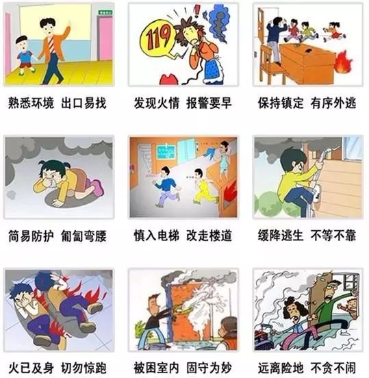 d647293bfbed4ecabe606f94a223e2cb.jpeg