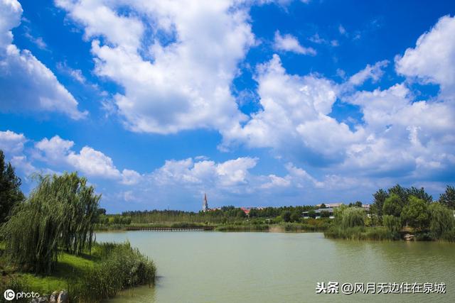 平阴玫瑰湖湿地公园