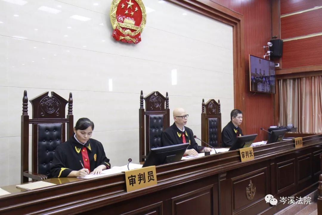 20万人围观岑溪西门帮24名成员受审