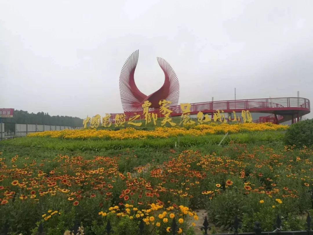 基础,高起点规划,高标准建设,加快建设空间优化布局美,生态宜居环境美