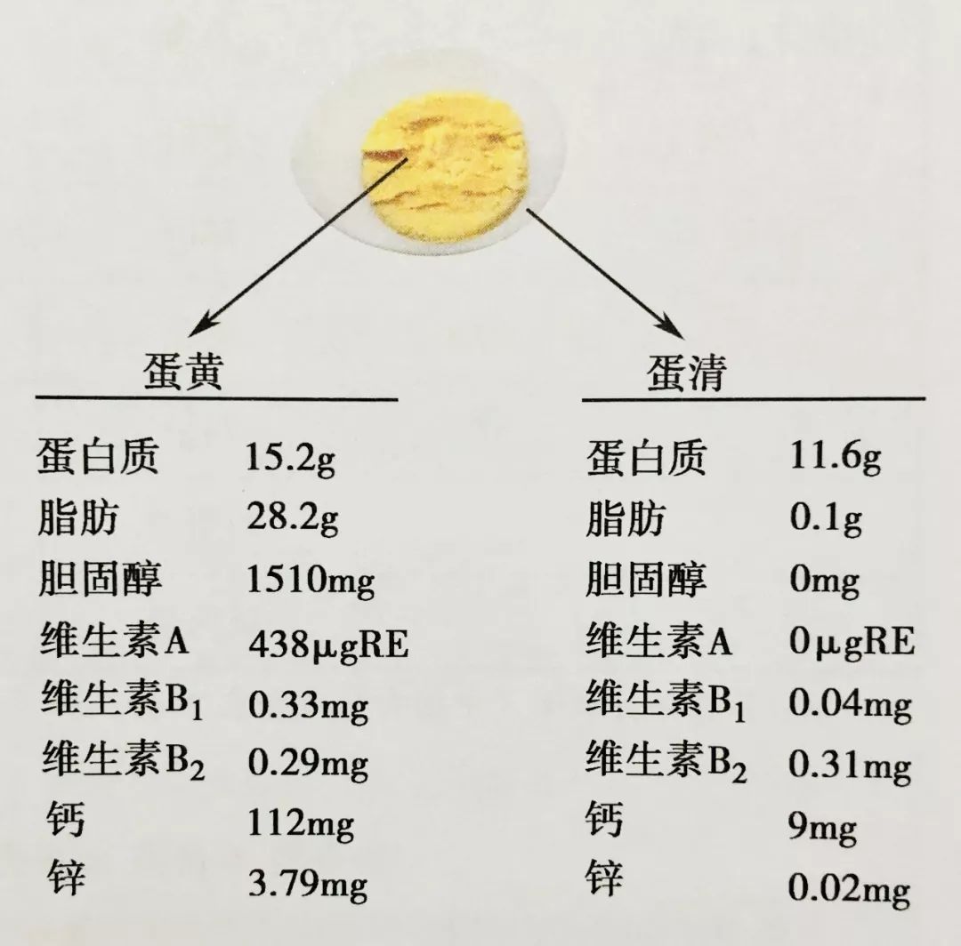 鸡蛋清和鸡蛋黄营养素含量比较