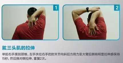 如何拉伸肱三肌肉 db4e46fb3d1244089b7791e7d9525944.jpeg