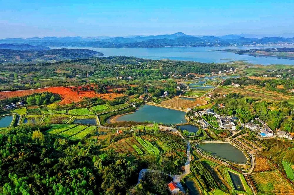 们 都 应 该 知 道 怎 么 让 这个世界 温暖 " 世界邮票里的澧县风光