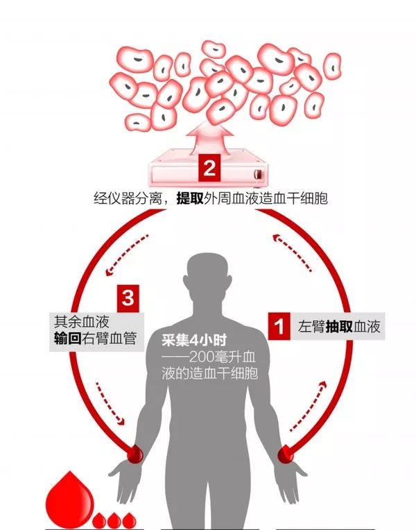 奉献点燃希望爱心延续生命造血干细胞捐献倡议书