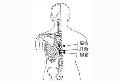 肝有毒怎么办