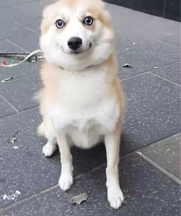 e624128b0fa843f3bac30005dc26f8cd.jpeg