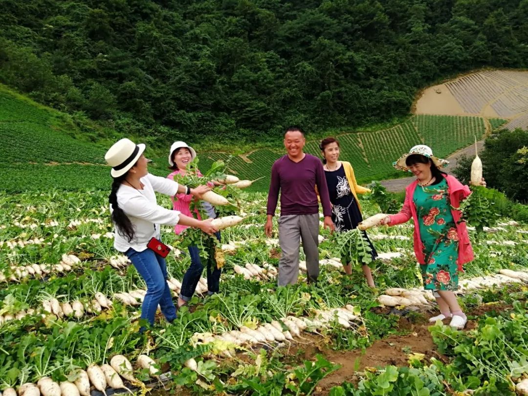 住火烧坪民宿吃些啥