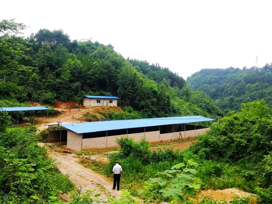 养殖场外景"黄平农商银行送信贷资金上门,支持咱们农户发展,真是咱们