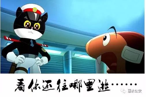 惠水警方依托天网工程视频巡查再次抓获两名