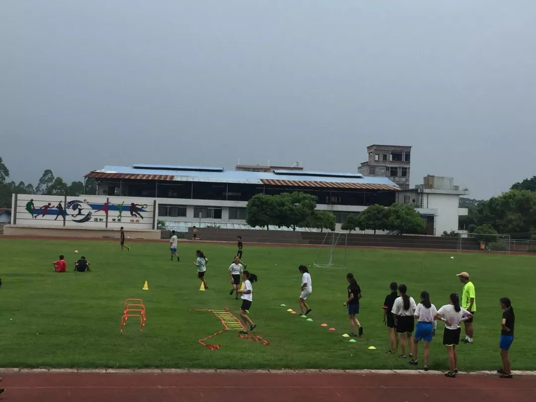 了解我们清城区 东城街中心小学精彩课程展示 飞来湖中学精彩课程展示