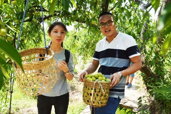 中国美丽休闲乡村 2018年被确定为 乡村振兴市级示范村"李果老"李子