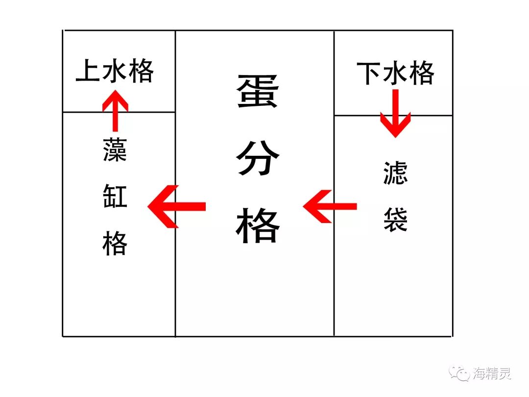 养鱼经验