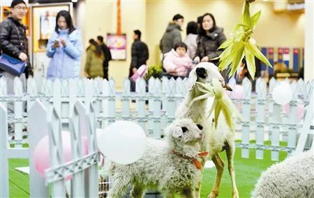 暑期带孩子去哪儿好?来泰国享受亲子游 这是我