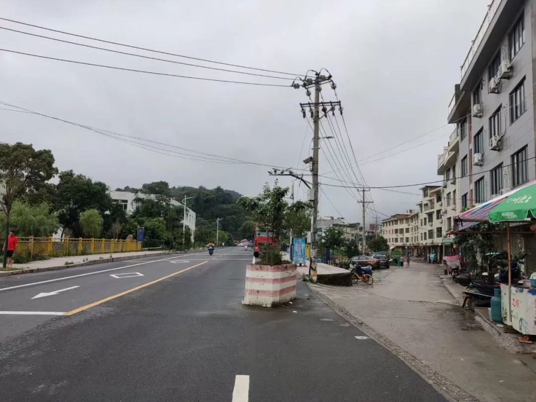 梅湾新村这路中花有点"亮"啊!_福鼎