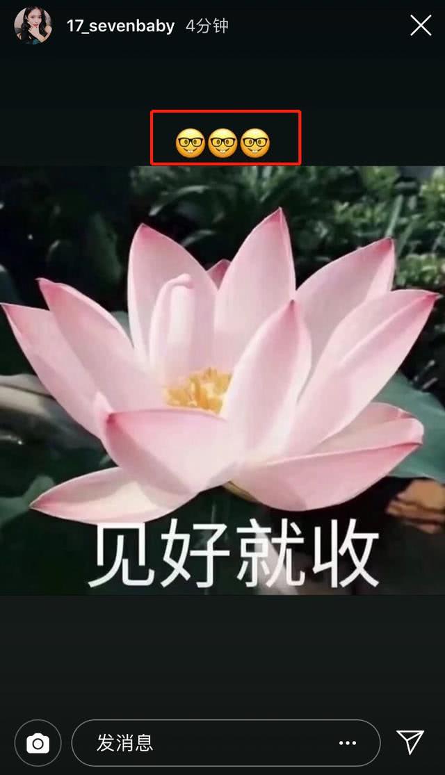 女红是什么意思