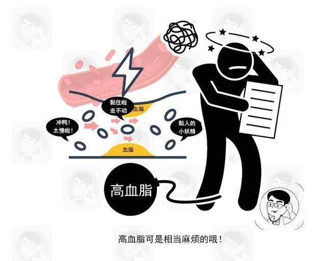 医生提醒:在这2个时间喝水,降低血脂浓度效果好