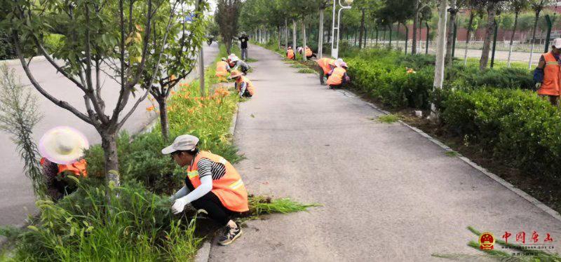 唐山市路南区城市管理综合行政执法局园林绿化管理处加强夏季绿化养护