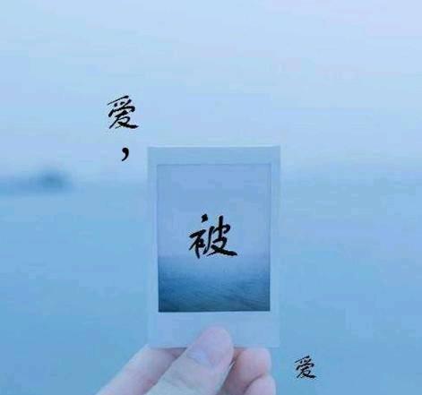 花开盛夏_HUqG·精选文章:《让爱不三》 赌博导航网