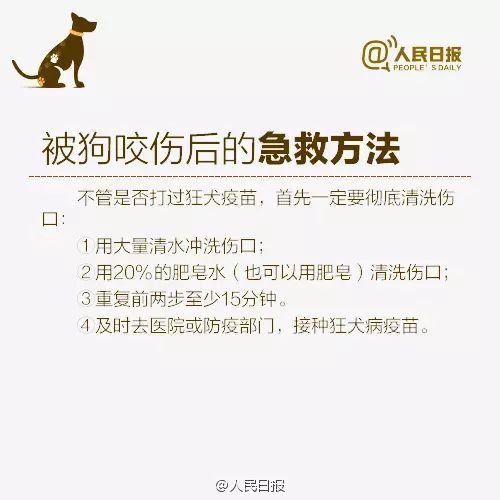 1b874d326cc047ed8ec1ba05f66db10f.jpeg